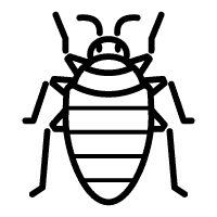 Wasp Exterminator in Vancouver and Burnaby